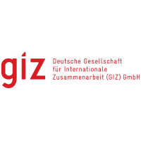 giz Logo