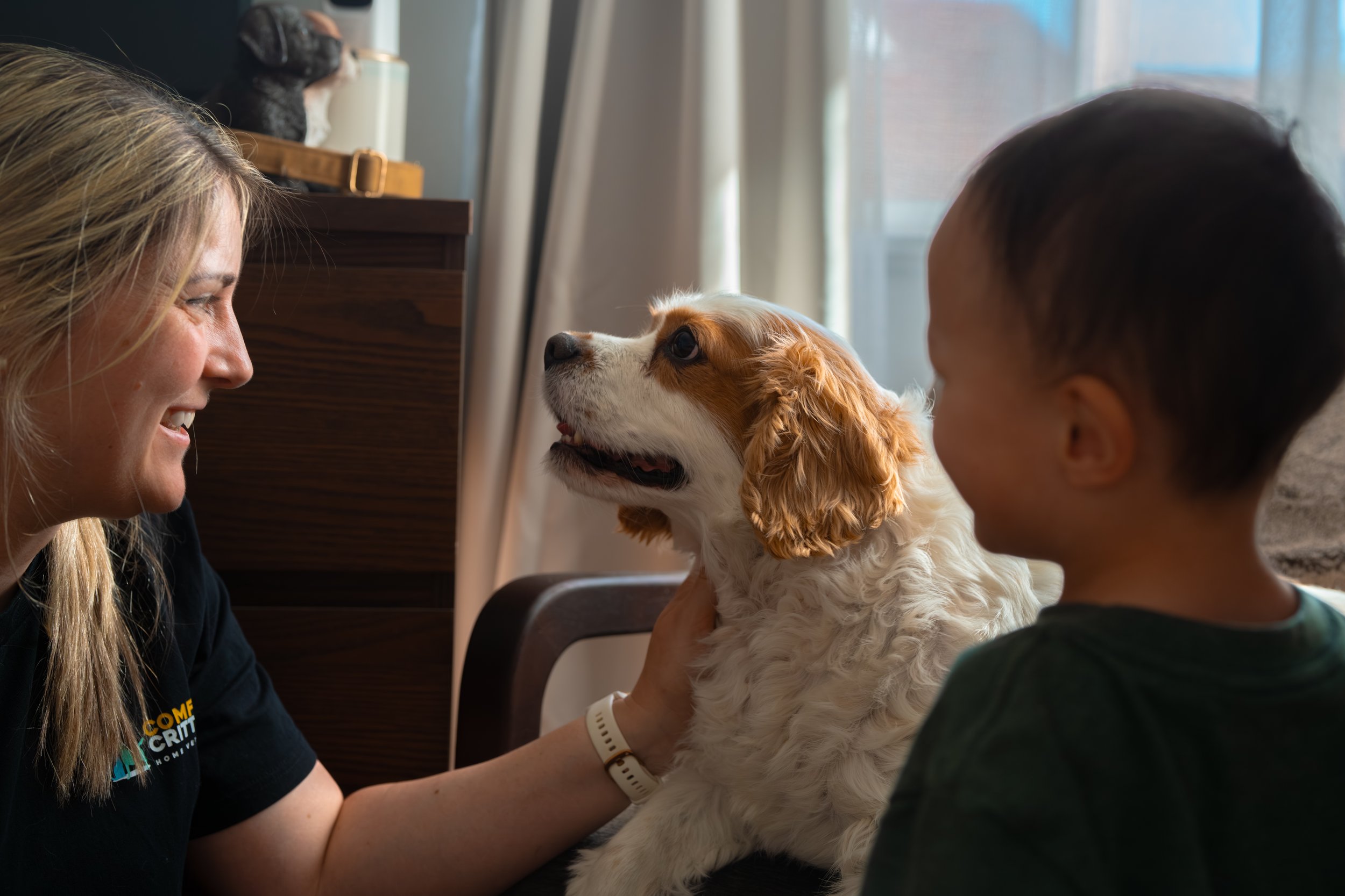 Supporting children through the loss of a pet