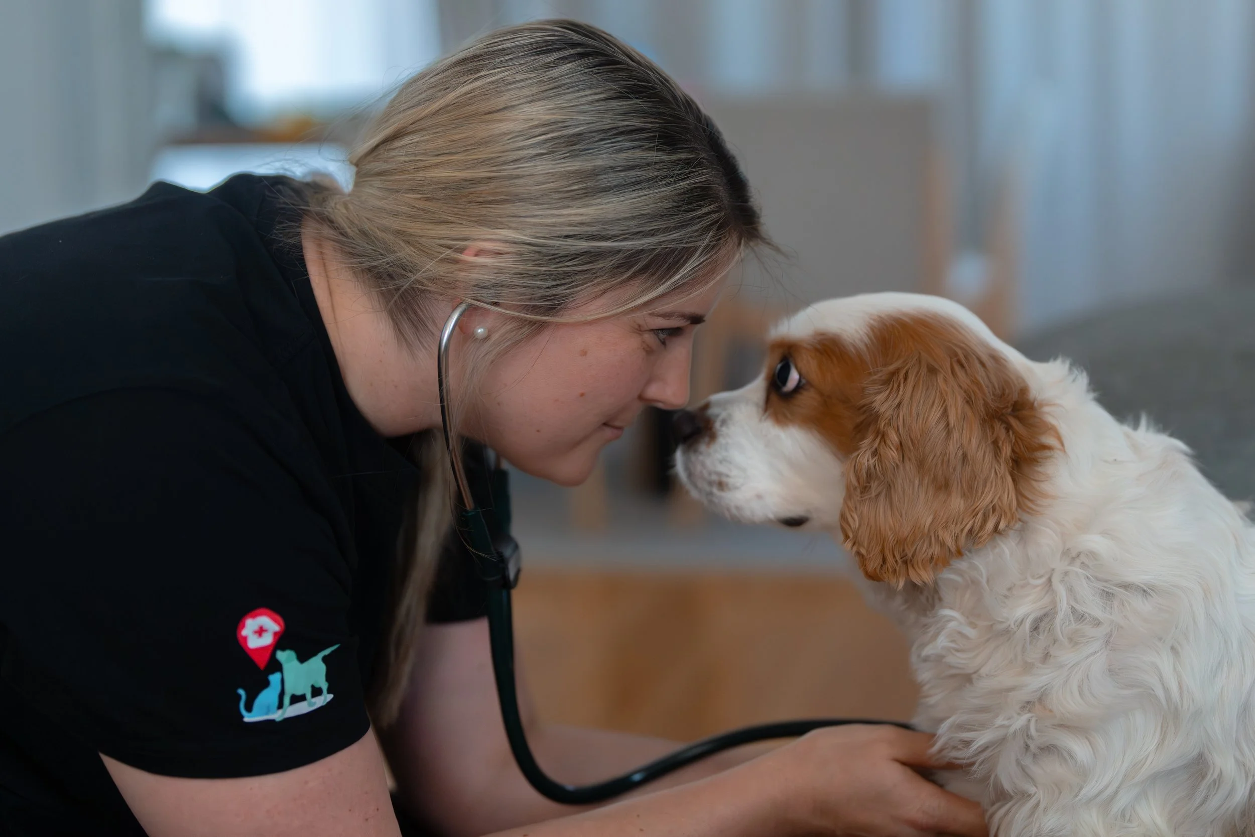 Palliative Palliation Comfort and support during hospice and end of life care on the Central Coast.