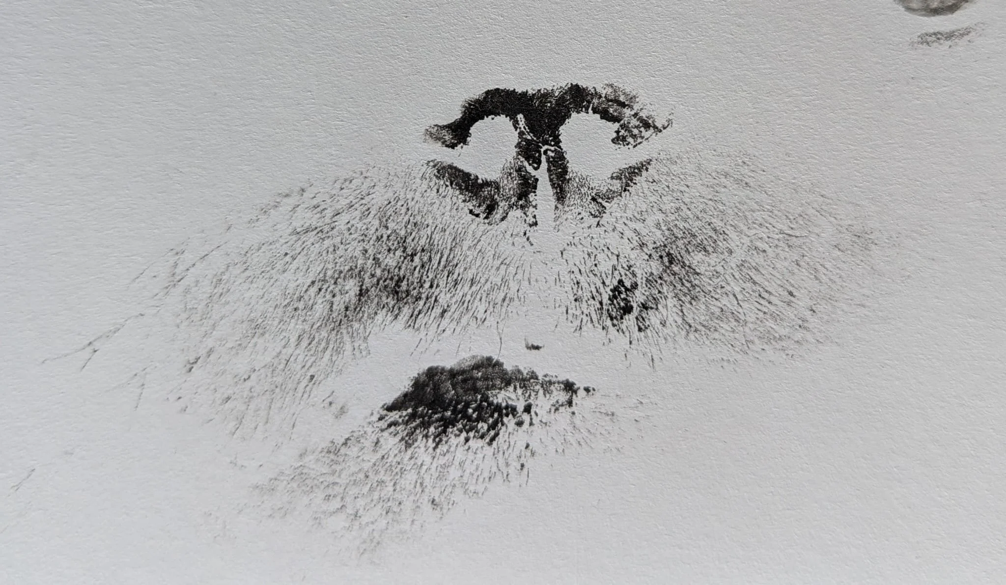 At Home End of Life Nose Prints