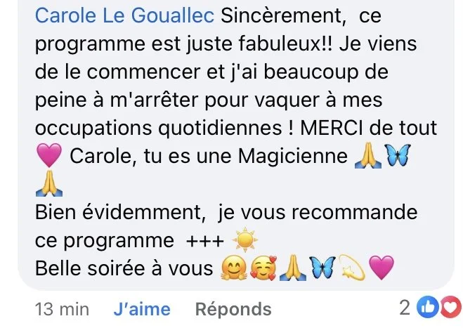 Capture d'écran d'un message écrit en français dans une conversation en ligne, mentionnant Carole Le Gouwlec et un programme, avec des emojis de cœur, mains jointes, papillons, sourires et autres.