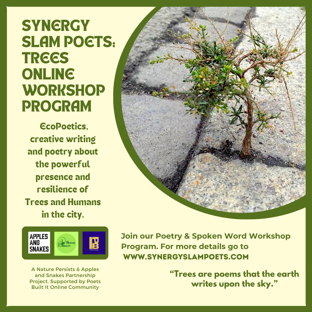 National Tree Week & Synergy Slam Poets: TREES Workshop Program