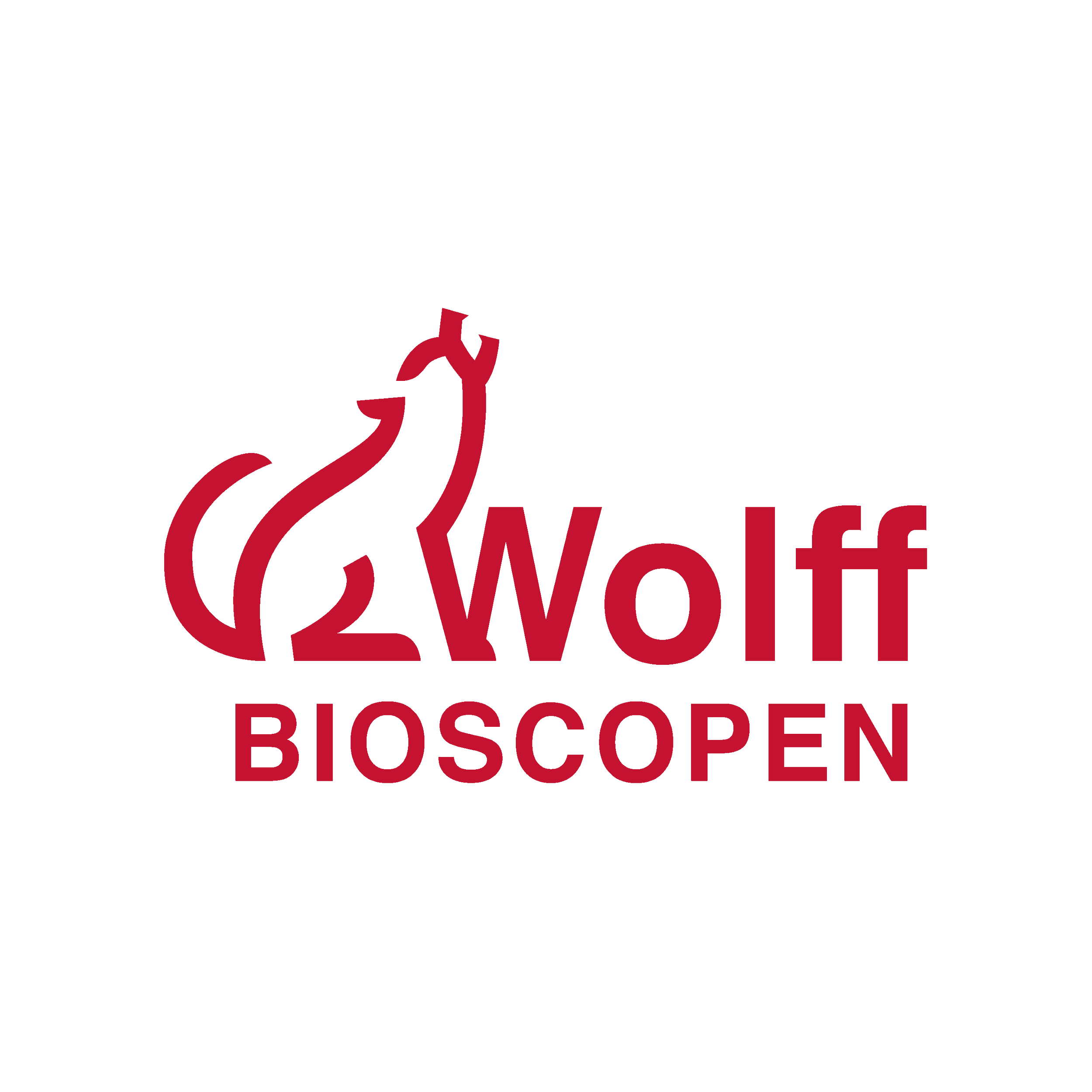 Wolff Bioscopen logo.png
