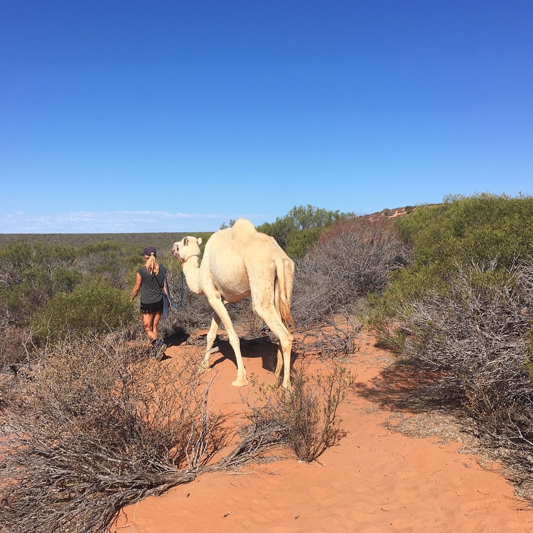 Jorinde in Australische outback met kamelen.JPG
