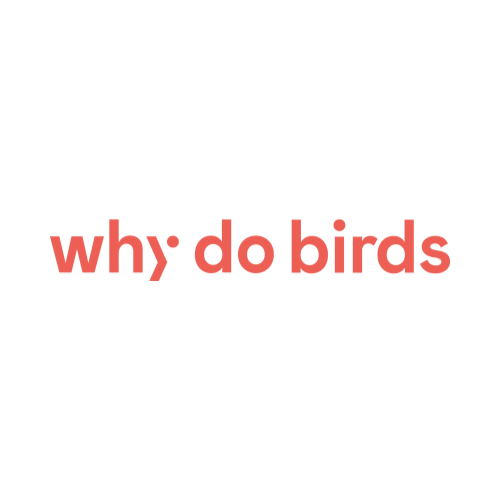 16.png