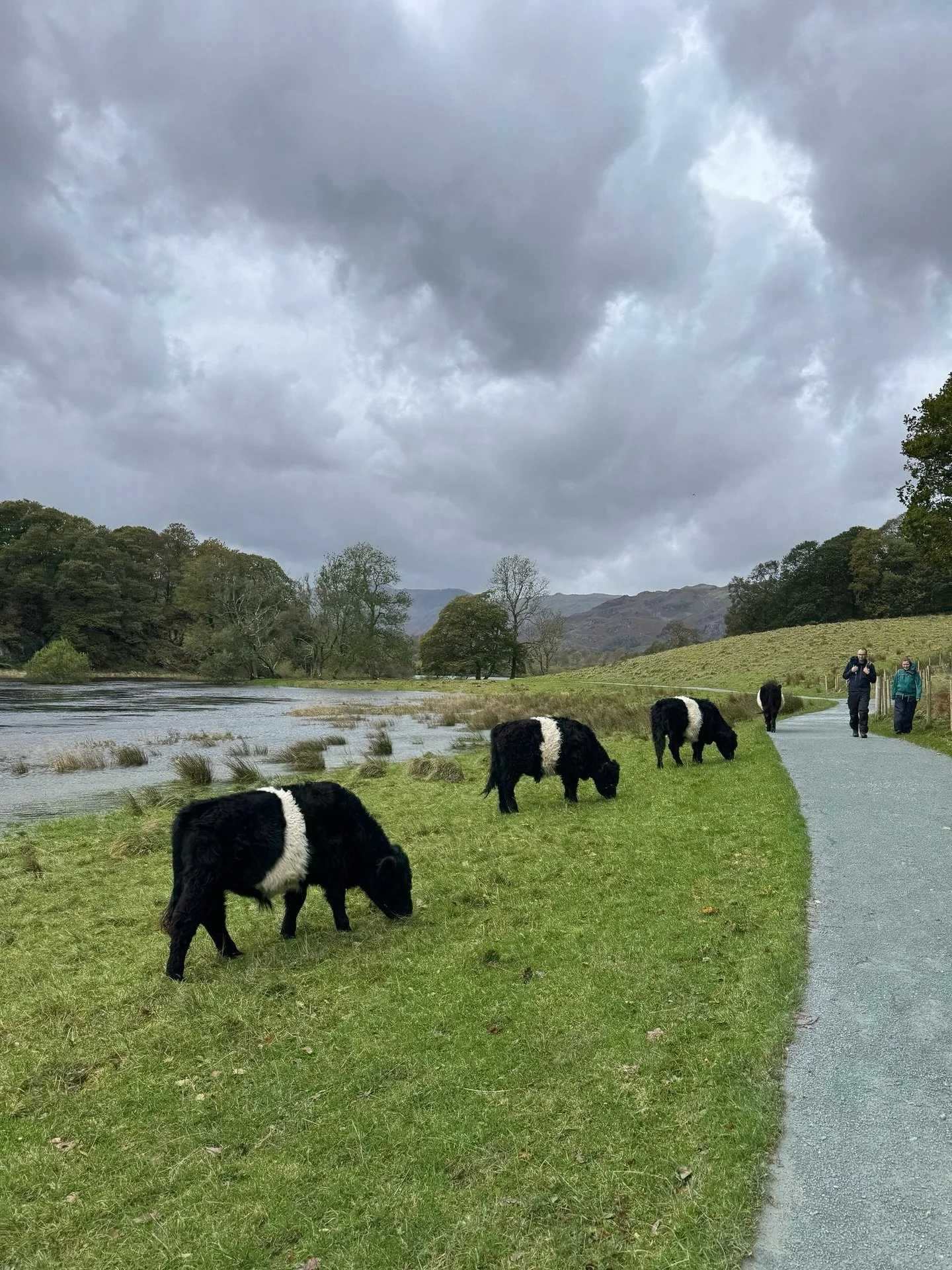 POV: You take a stroll through the Lakes&hellip;

#lakedistrict #countrysidestroll #britishcountryside #luxurystays #luxuryescapes #lakewindermere