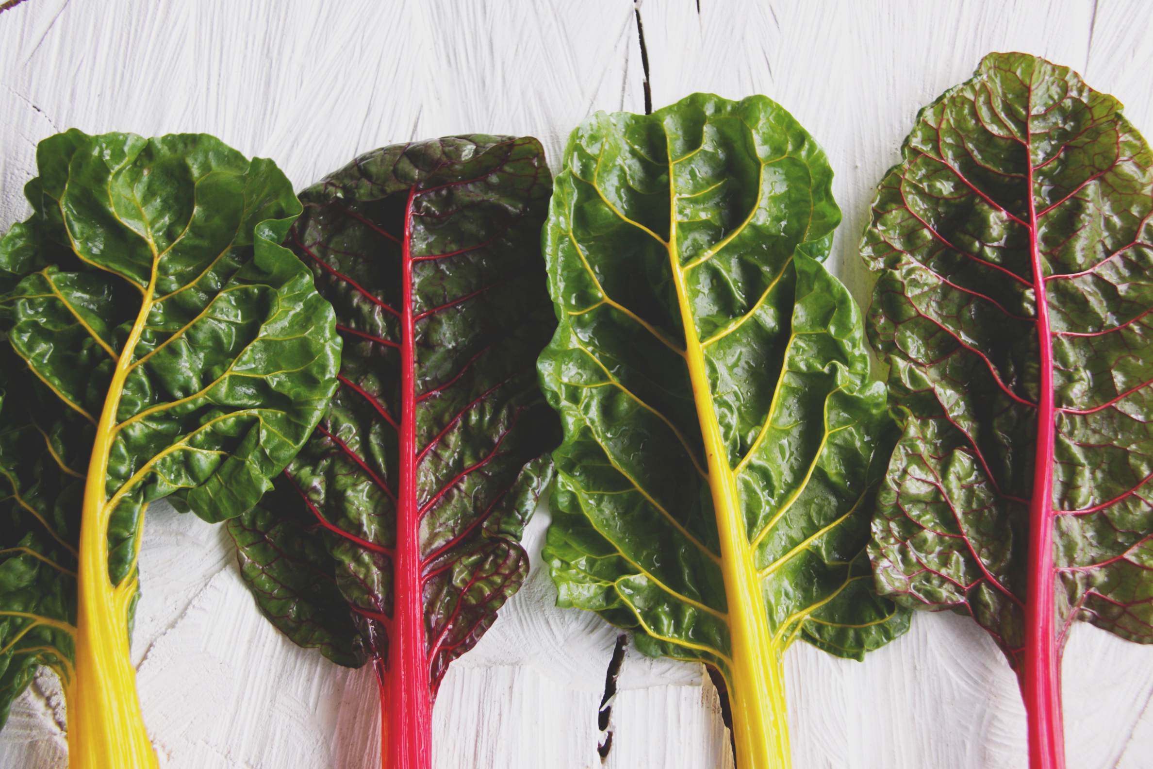 Snijbiet of warmoes, hoog ijzer en vitamine C gehalte