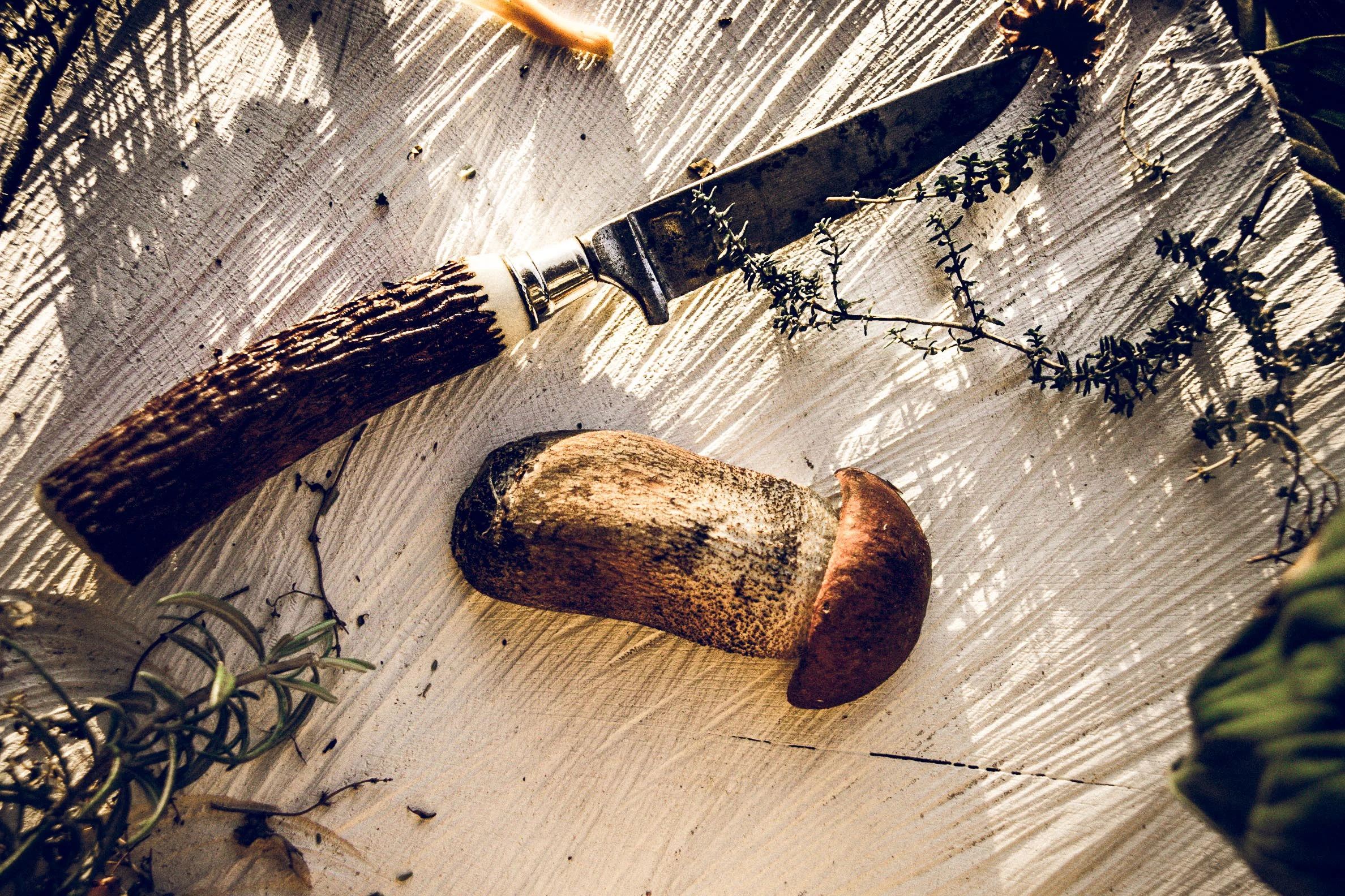 Paddestoelen zijn puur en eenvoudig, dat moet je dan ook zo houden.&nbsp;