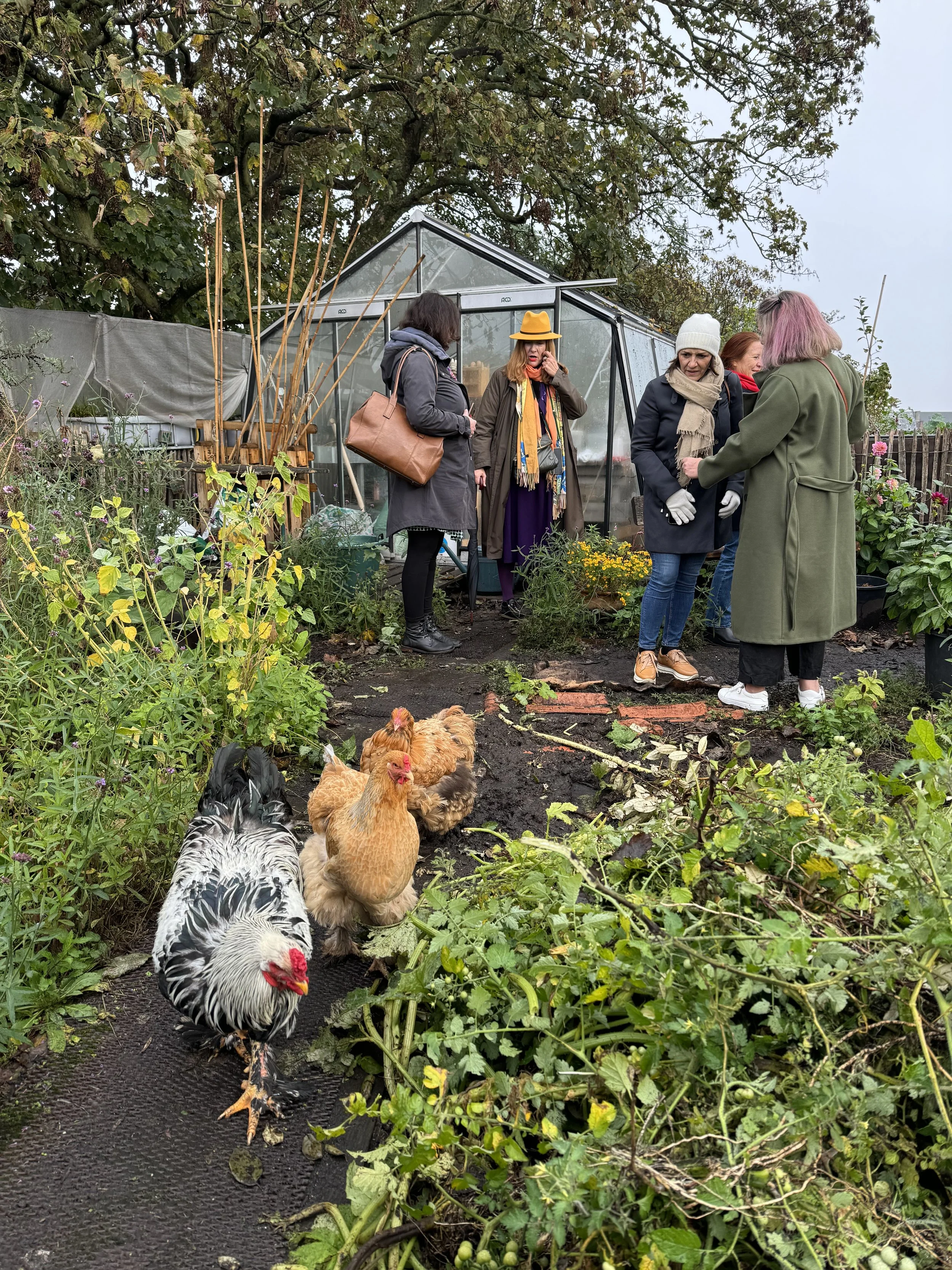 dakboerderij tour Antwerpen PAKT
