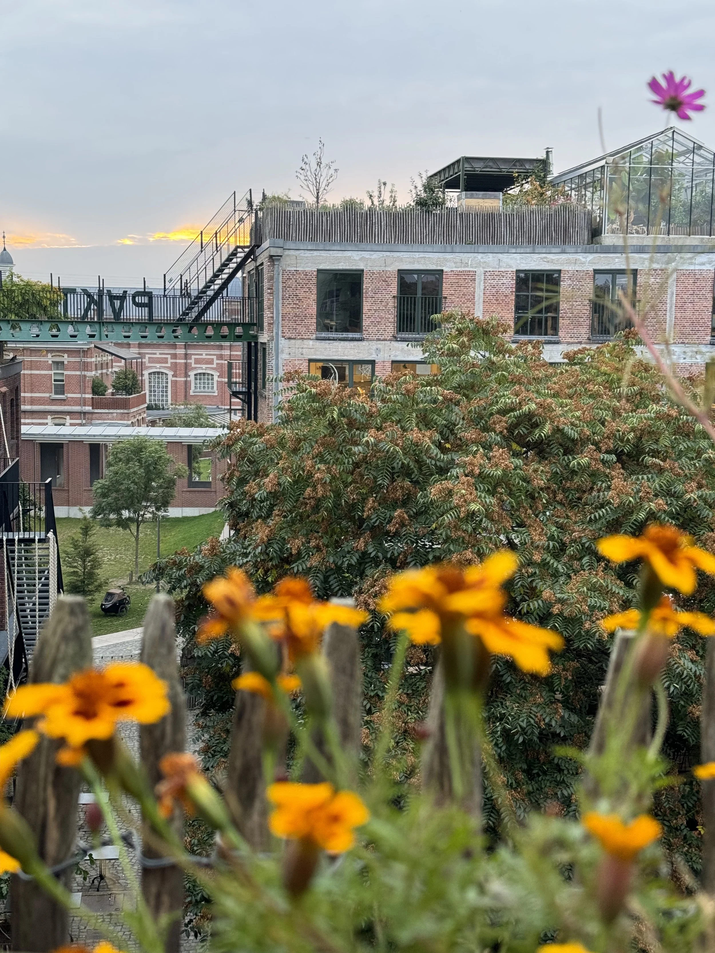 dakboerderij serre PAKT vergaderen unieke locatie in het het groen Antwerpen