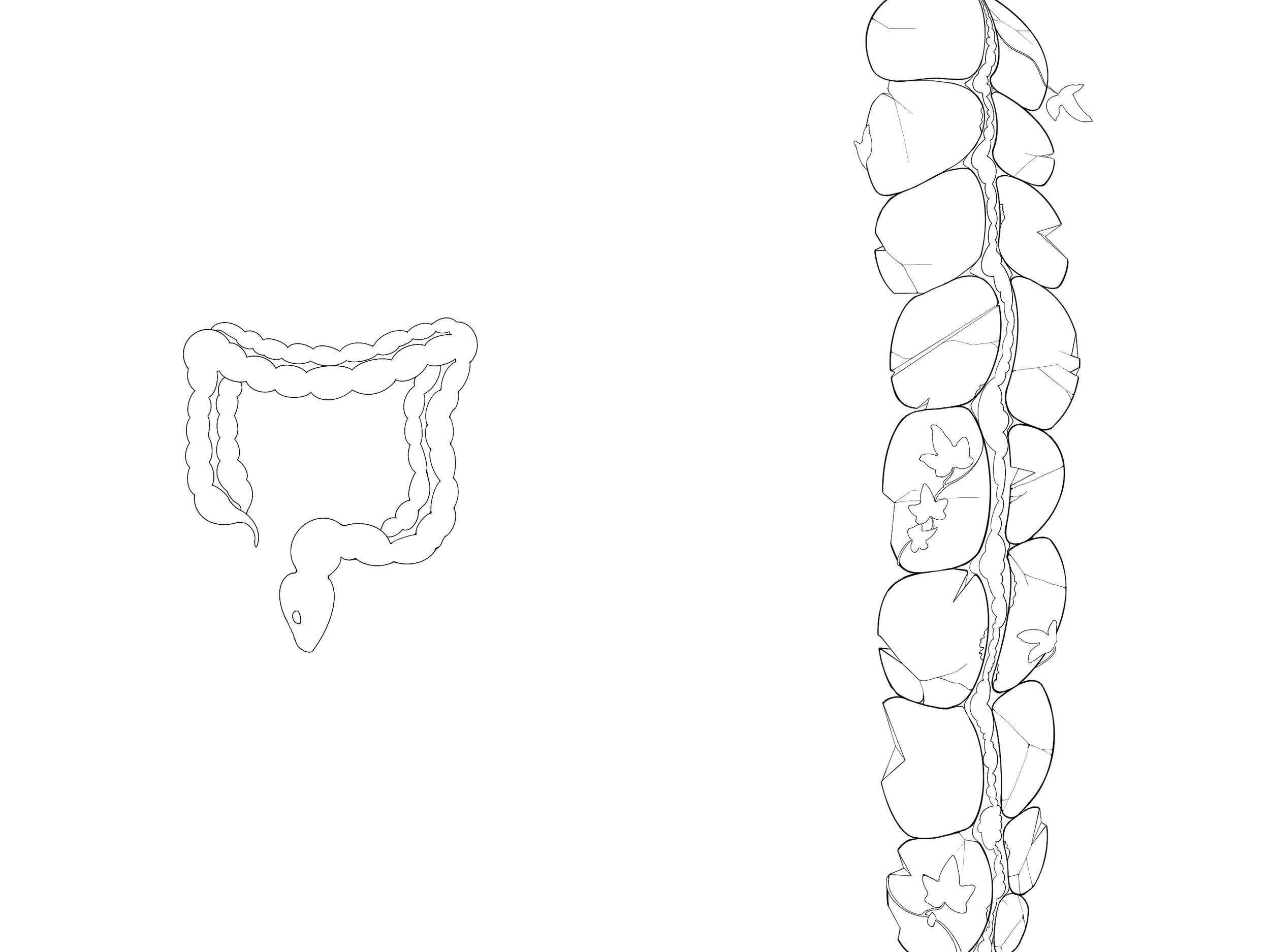 Untitled_Artwork copy.jpg