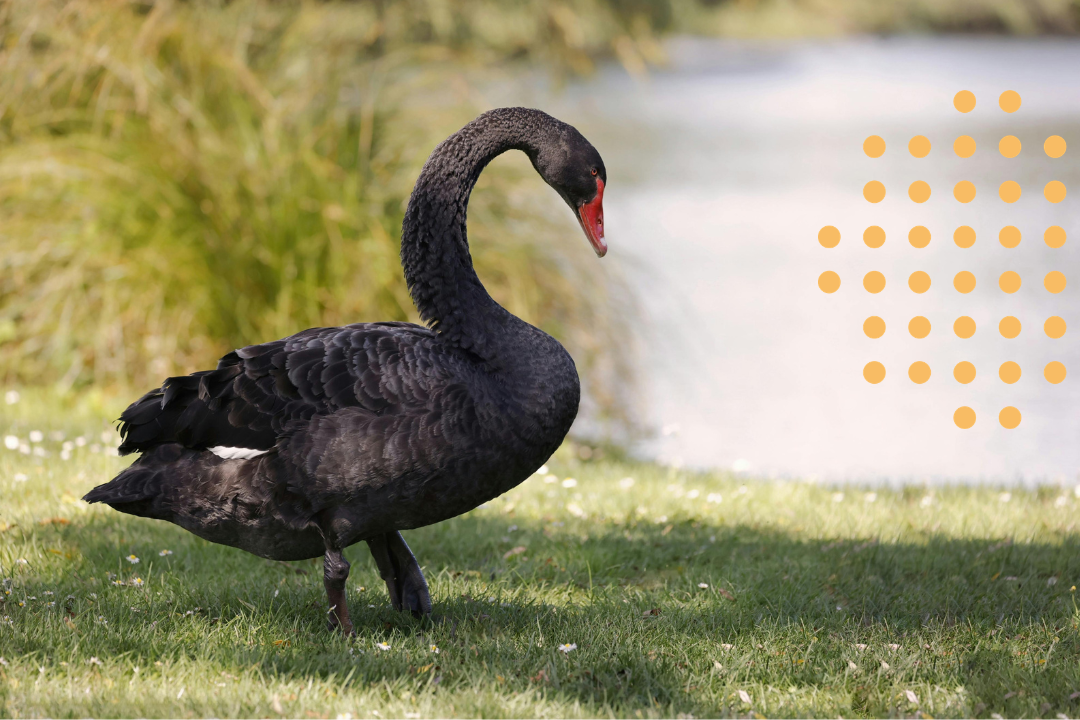 Which Way is Down: Preparing for the next crash