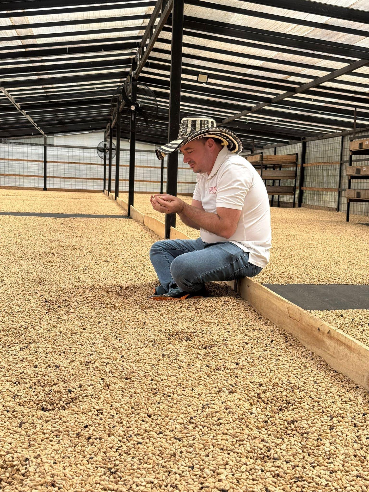 El Zacatin Geisha April 2025 Drying Beds 2.jpg