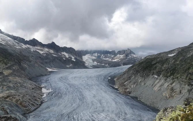 Artikel in der Schweizer Musikerzeitung
