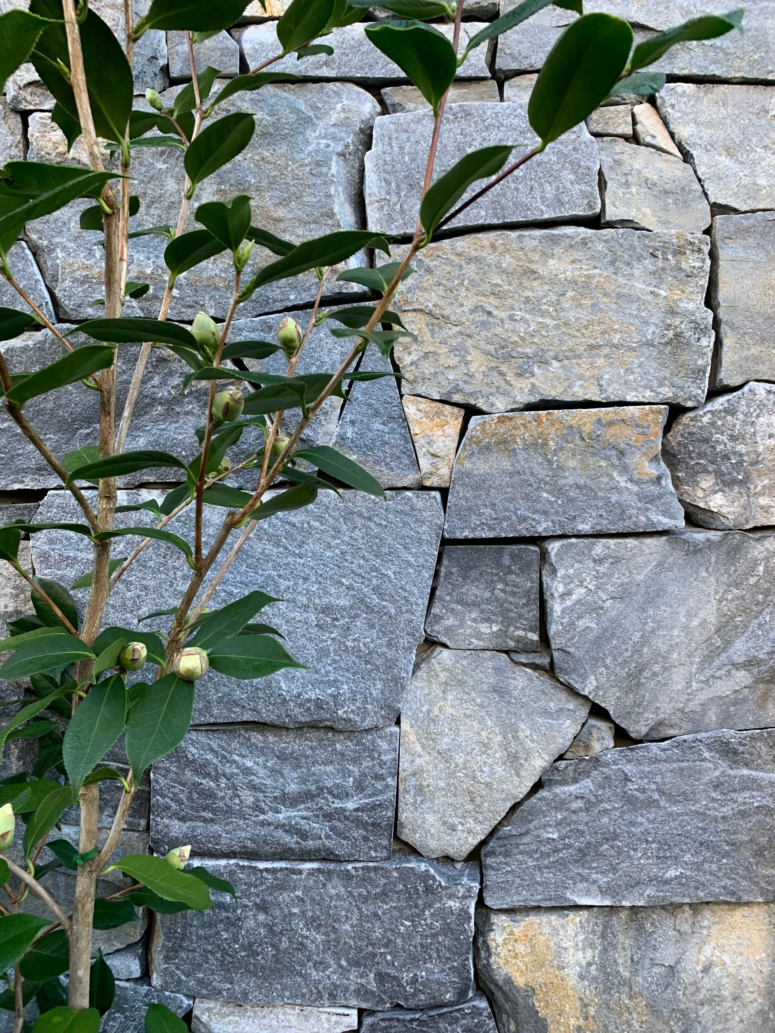 stone clad.jpeg