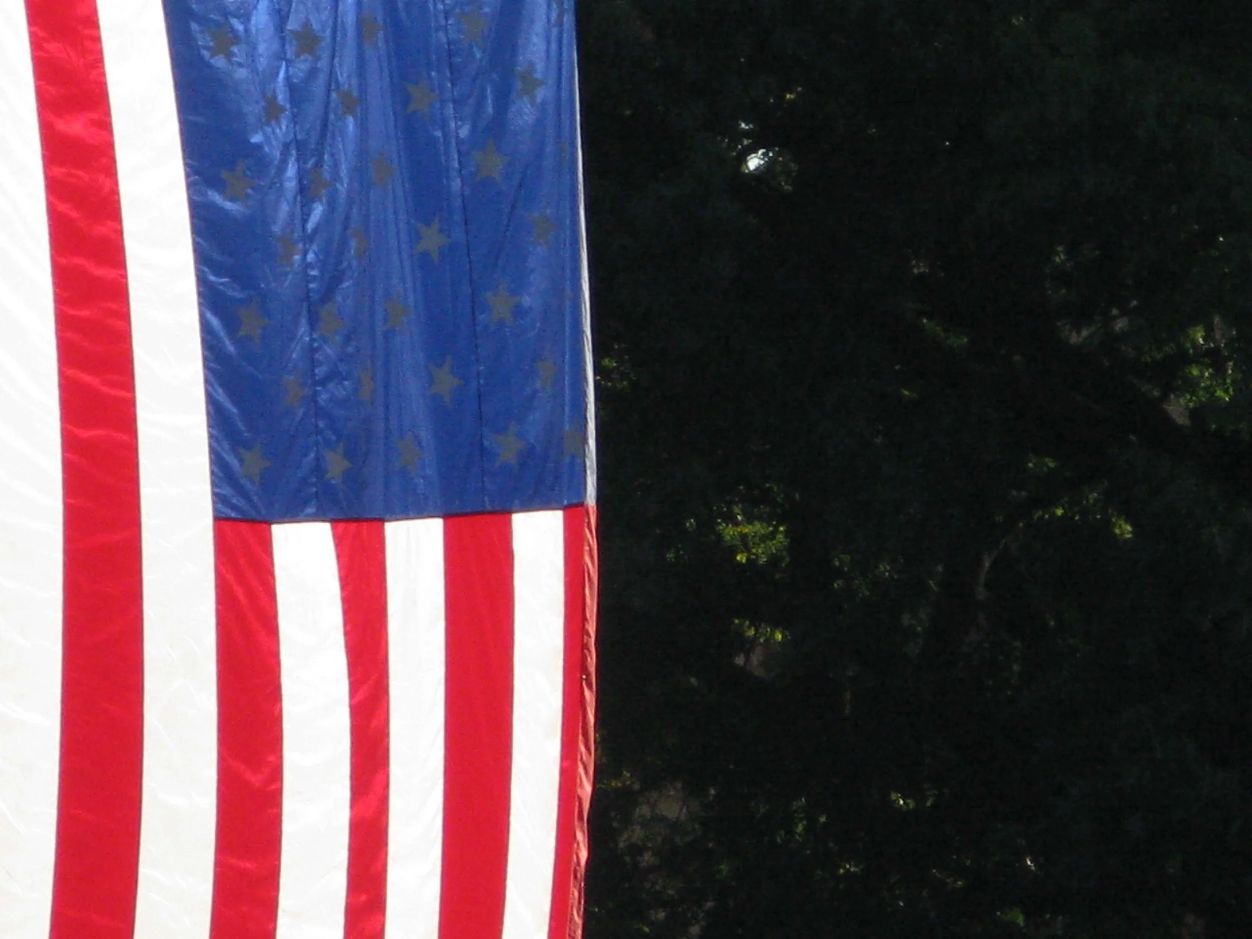 The Flag