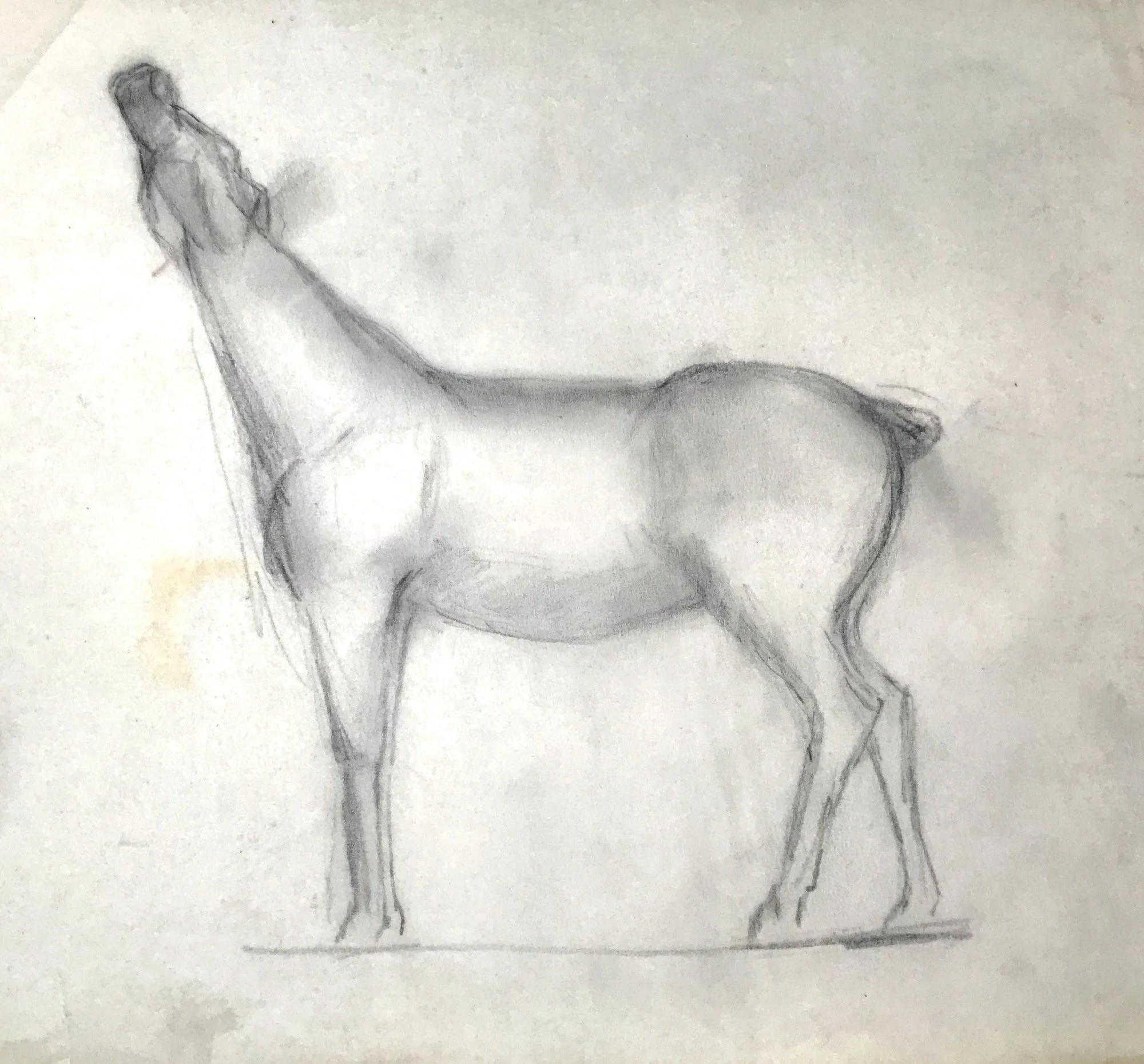 Zeichnung, Graphitstift, 1950s