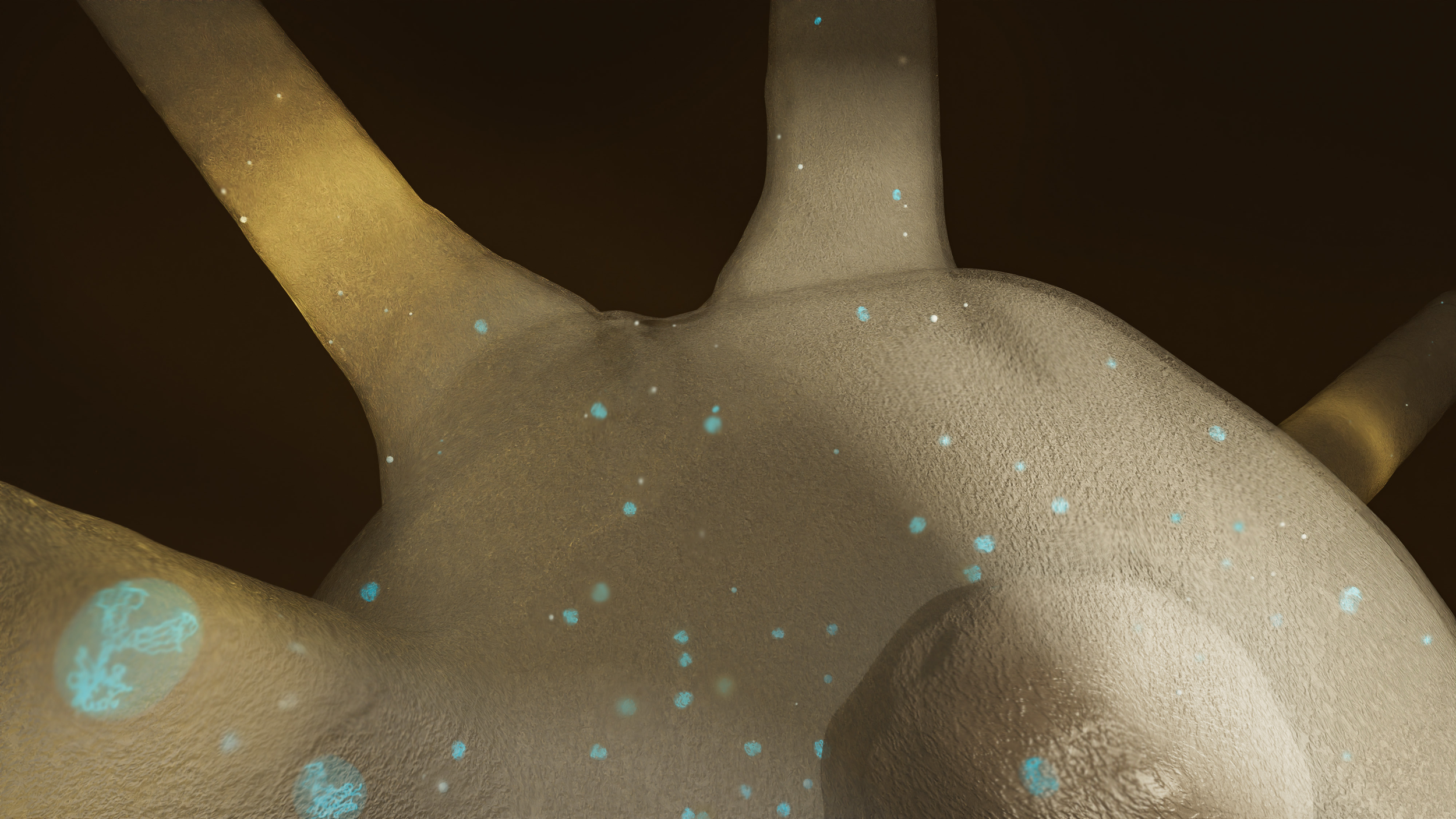 EFProtBio-picture5-Flurina.png