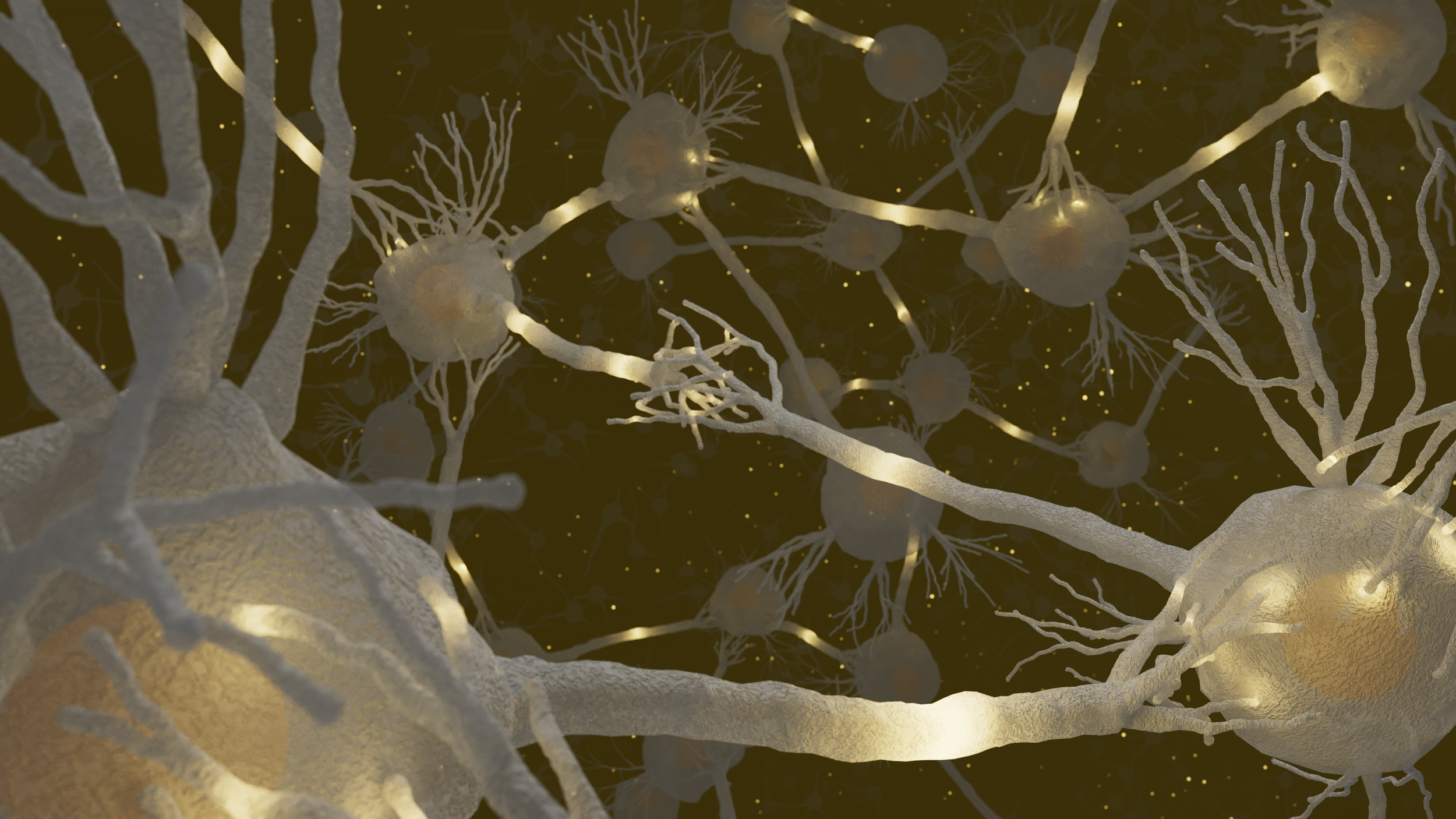 Final%20Final%20Bild%202 licv.png