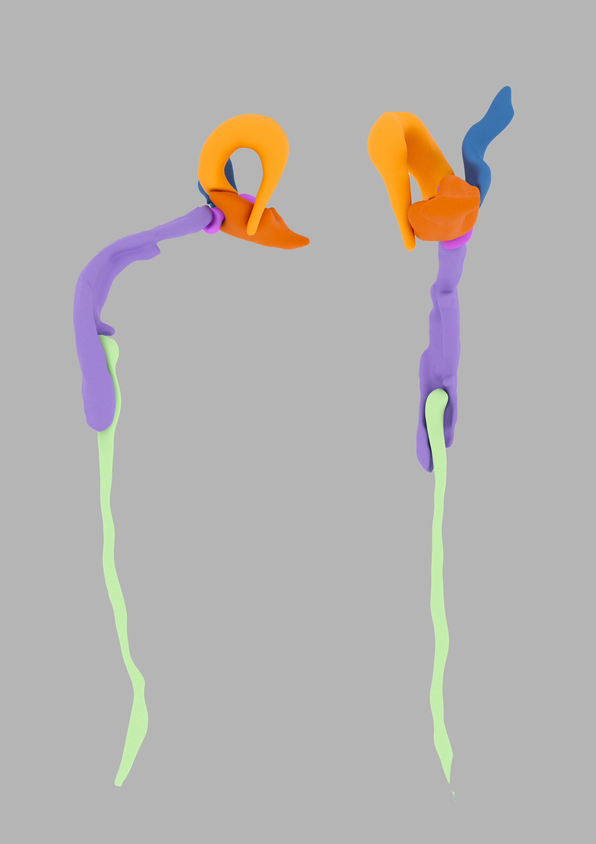 Entwicklungsstand Gonatopus