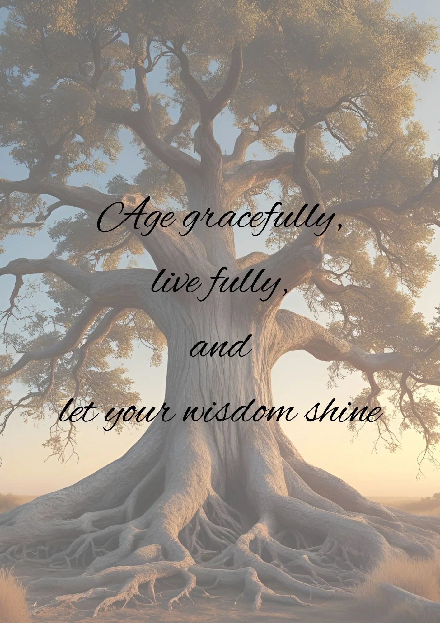 Embracing Positive Aging: An Introduction