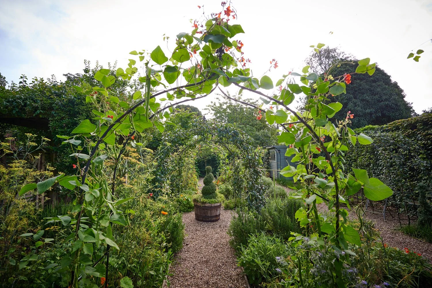 Herbarium-archway.jpg