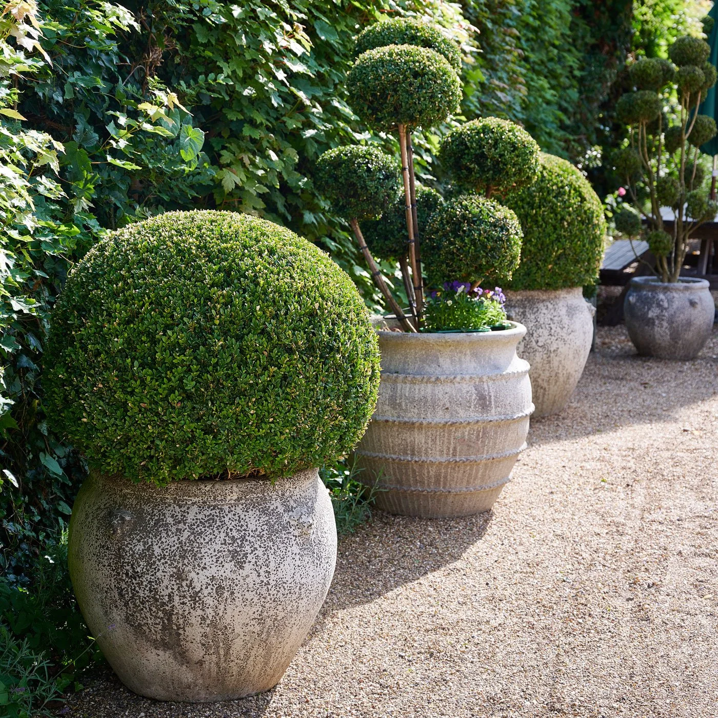 Pipe-and-Glass-topiary-portrait.jpg