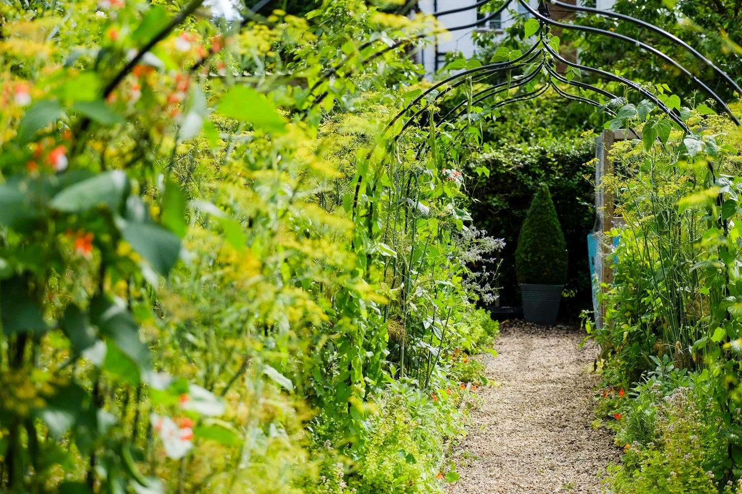 2017-08-01-pipe-gardens-99-rgb.jpg