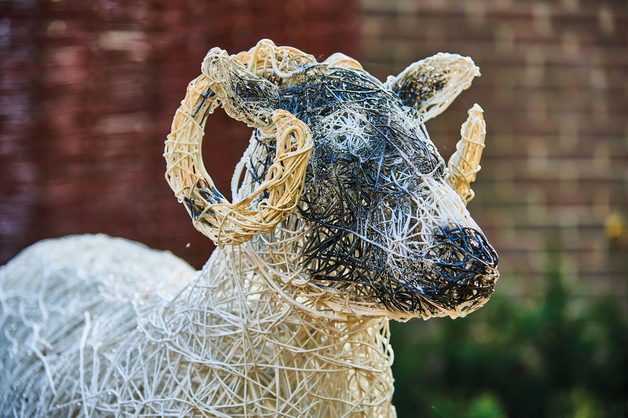 The-Old-Lambing-Yard-General-7.jpg