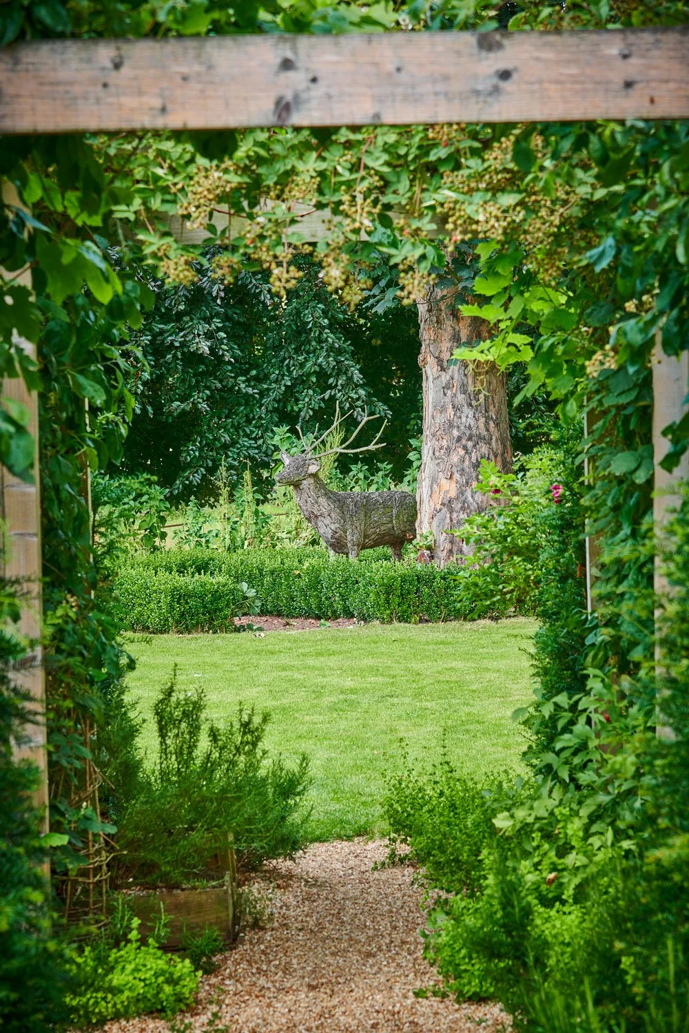 deer-in-garden-through-arch-2019.jpg
