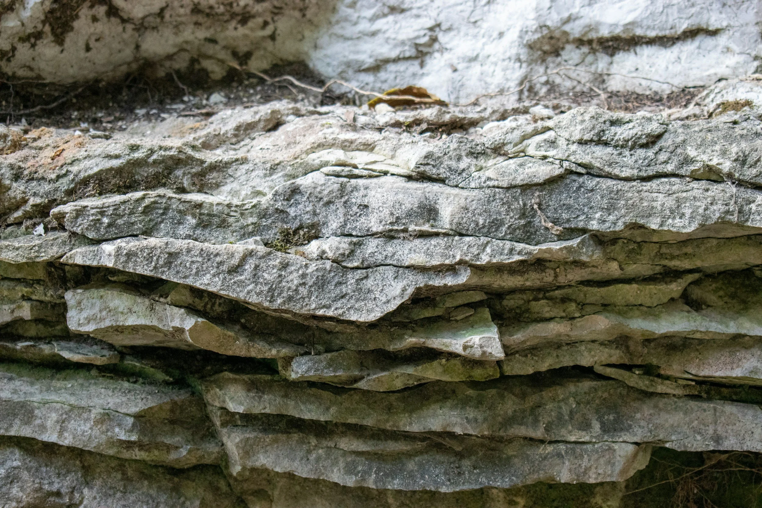 Close-up of layered gray and beige sedimentary rocks with some small patches of moss and a dried leaf on top.