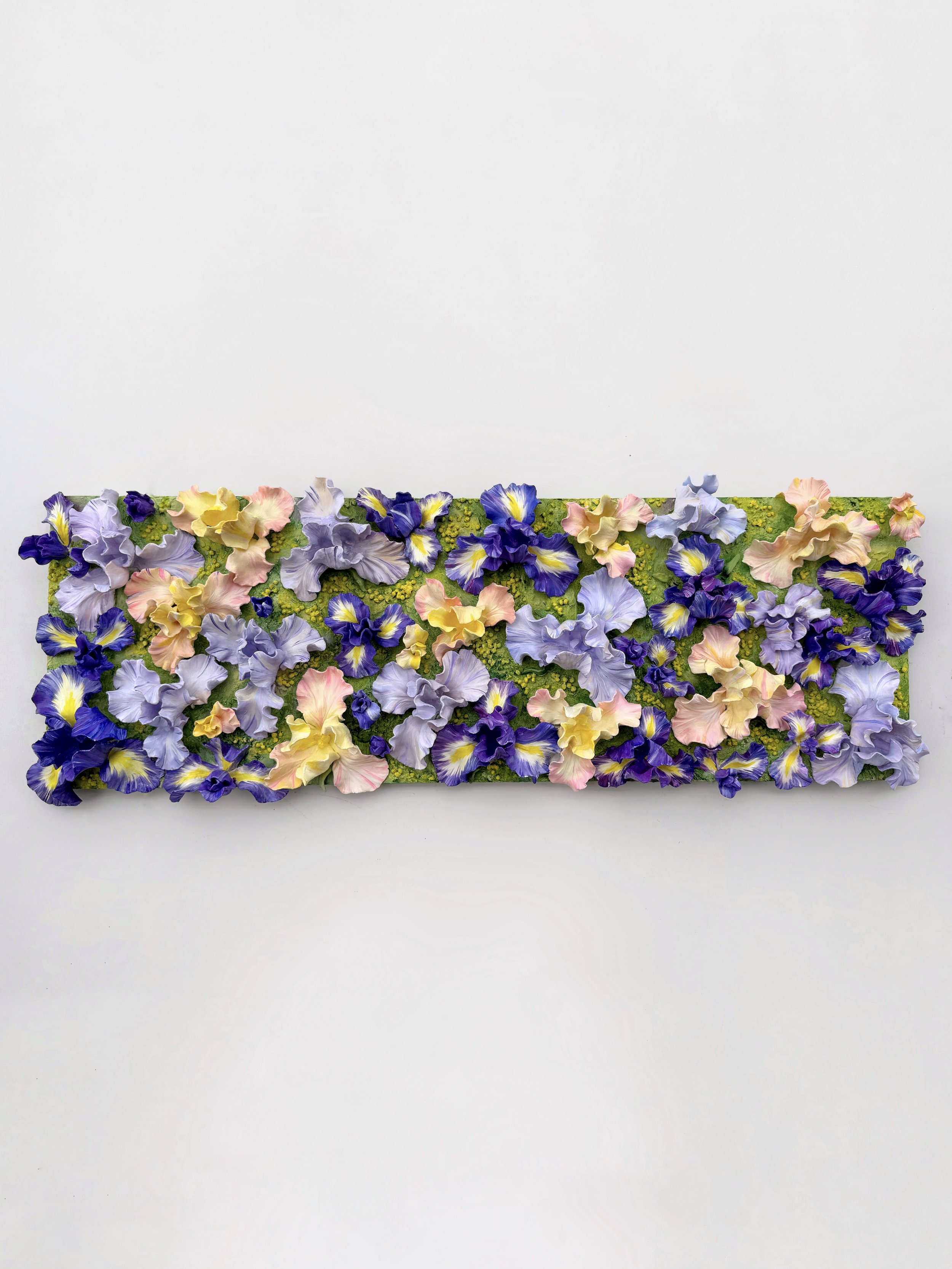 IRISES.jpg