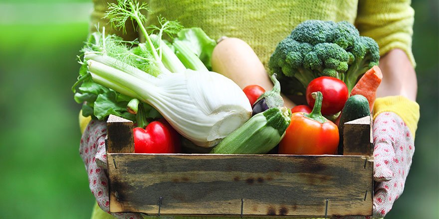 Seasonal Vegetable box