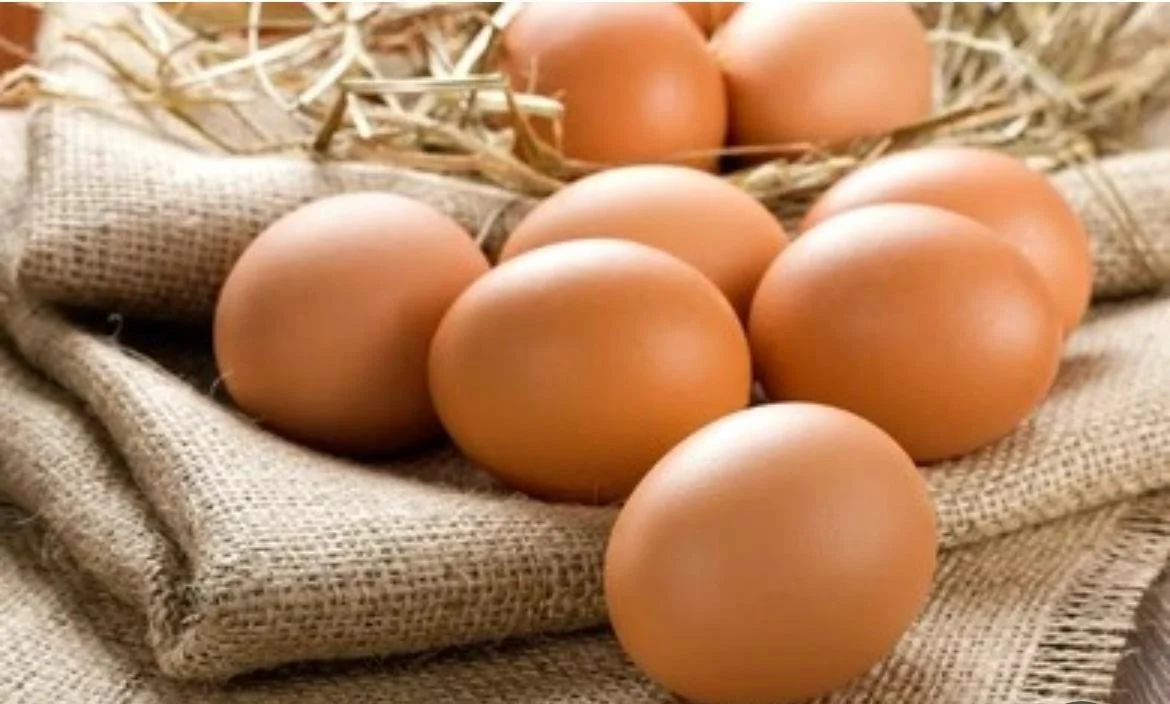 Fresh free-range farm eggs from Vancouver Island