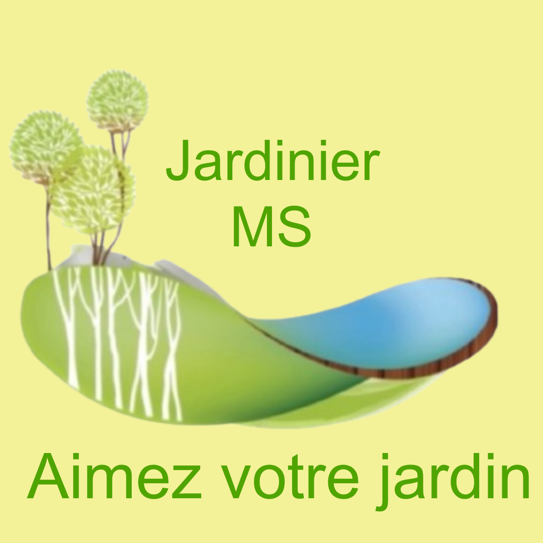 Jardinier MS