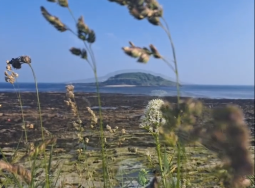 Story Time - Part 1 - The Dogfish 🦈