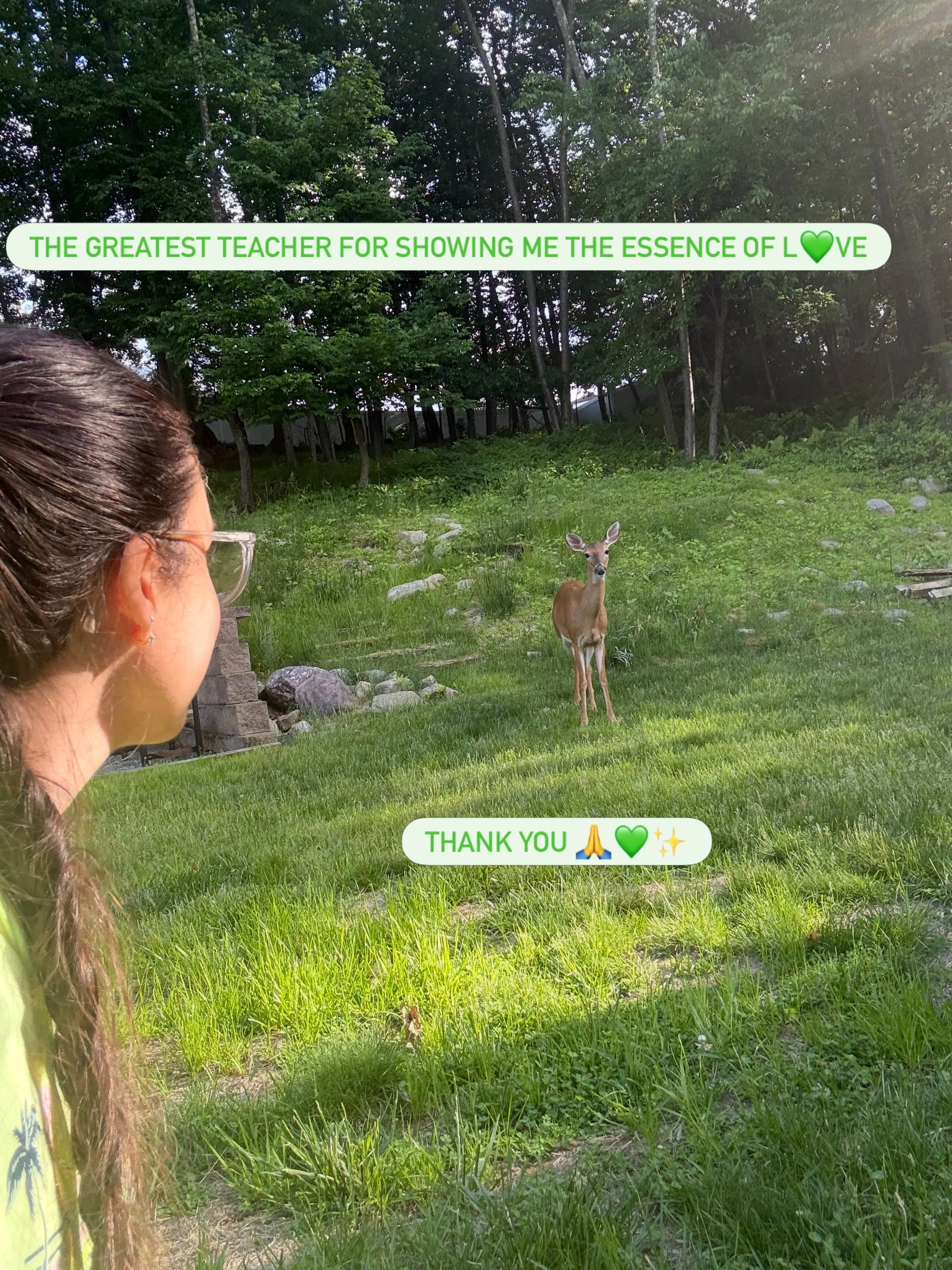 The essence of the soul is L💚VE and L✨GHT.
Being in the presence of this being and looking deeply into her eyes, I see, feel, sense and experience the frequency of love, bringing me back to my true essence. I  am so grateful to her for all she teach