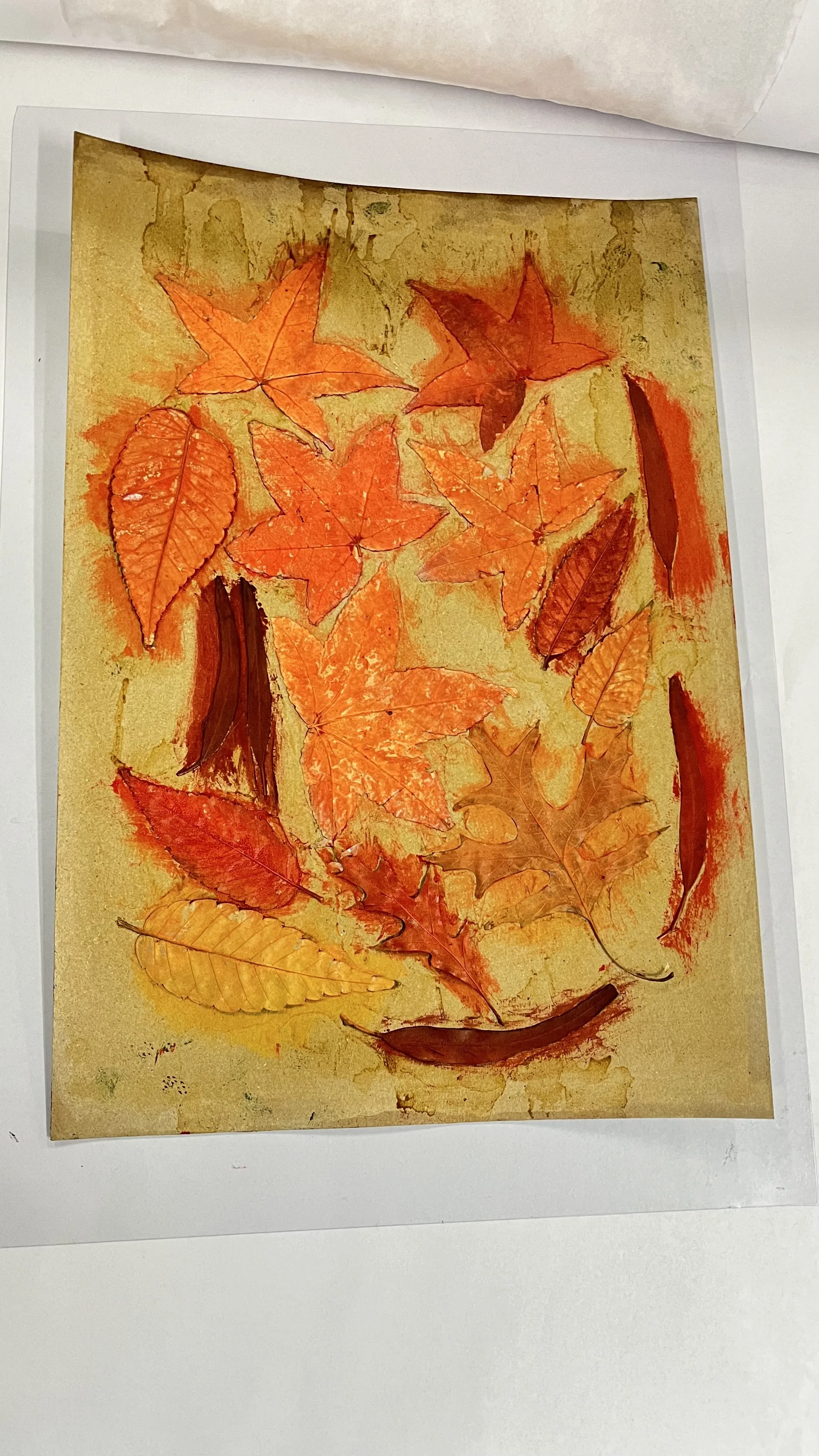 Leaves and Colour