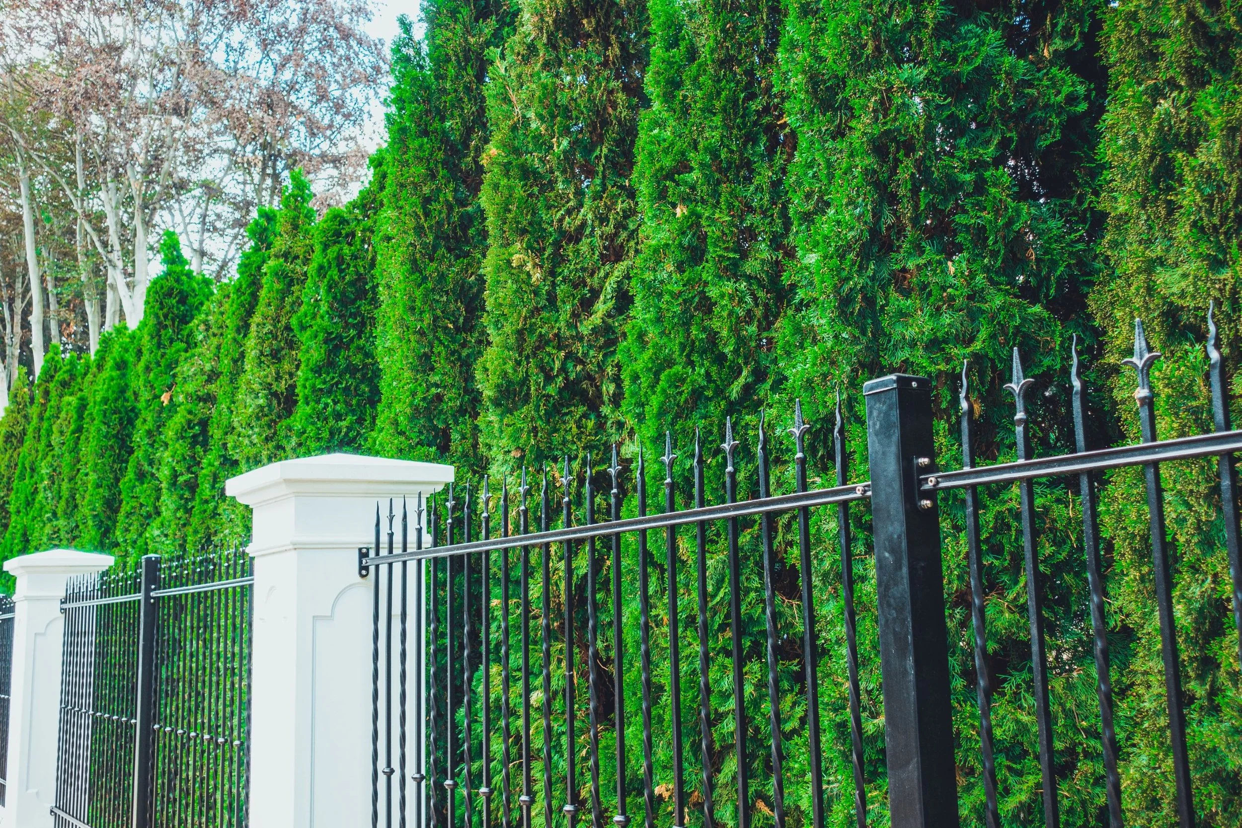Custom Fencing Solutions for Your Commercial Business