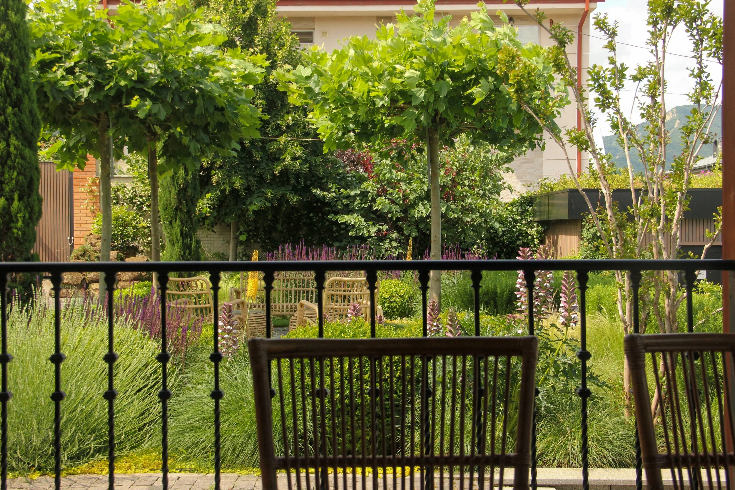 IMG_8251 copy.jpg
