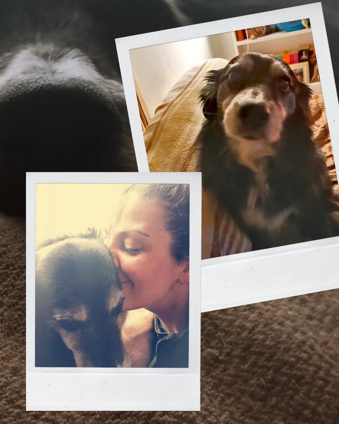 The Cost of Burnout and Finding My Way Back