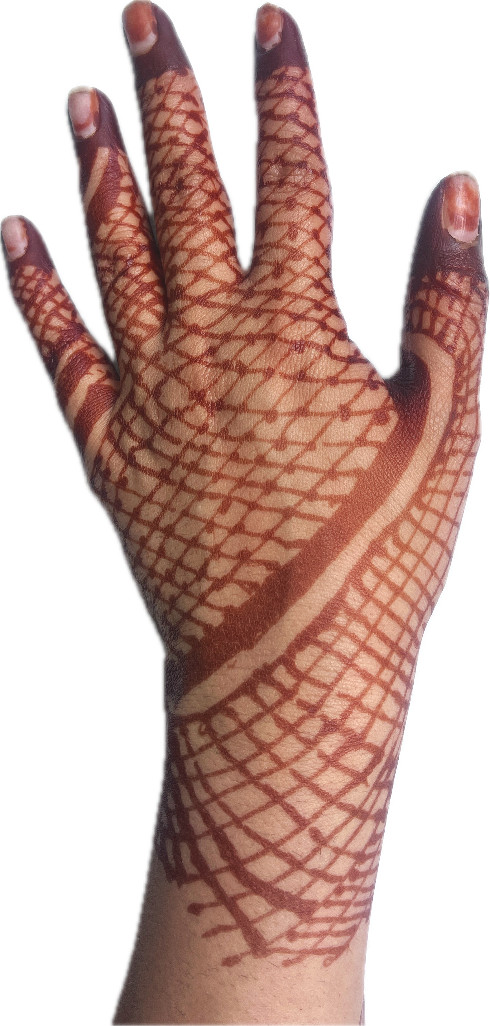 Subject+41.png