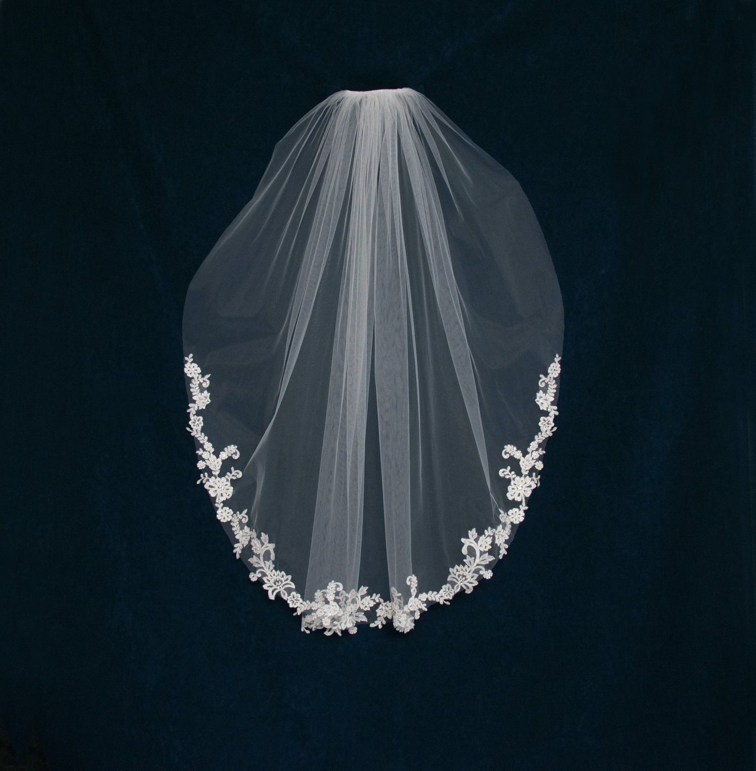 protea veil.jpeg