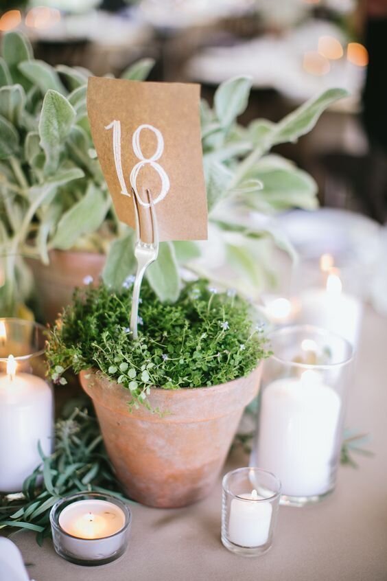 ivory-and-beau-blog-how-to-have-a-sustainable-wedding-d7e439ce8ac6063eb2559c0a685a2473.jpg