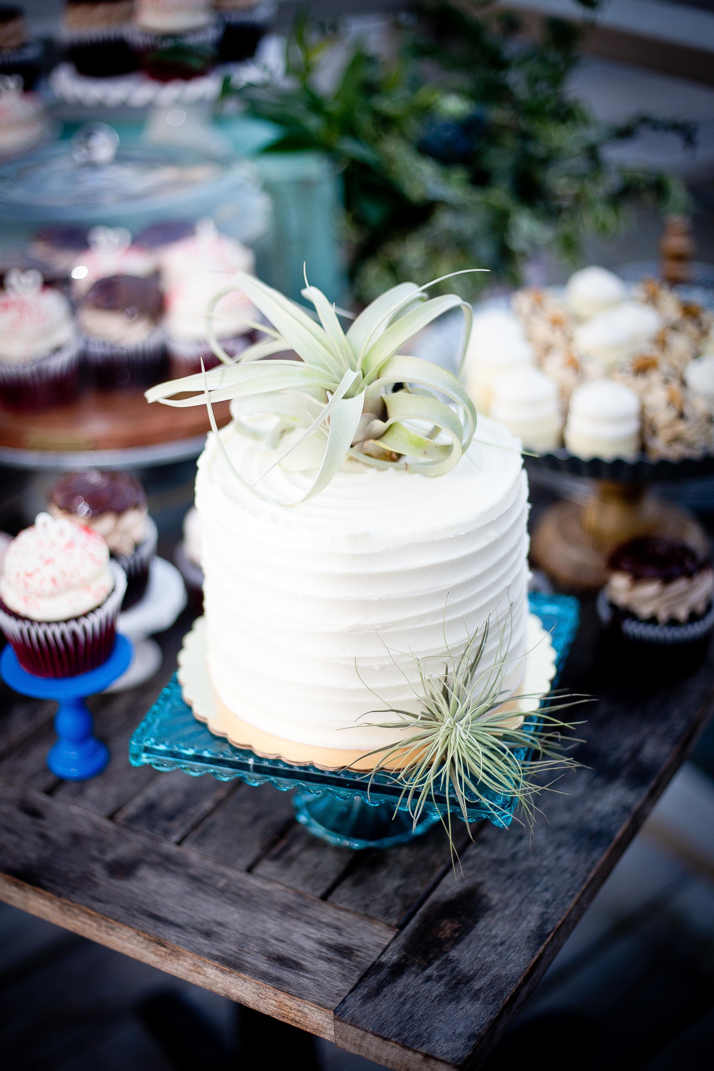 Tina-and-Javin-Wedding-Wedding-Cake-Savannah-Bakery-GiGis-Cupcakes-RedVelvet-Airplant-Savannah-Planner-Ivory-and-Beau-Succulent-Cakes-Natural-Caketoppers-Wyld-Dock-Bar-Bride-Wedding-Deserts-Cupcakes-Airplant-Wedding-Caketopper--jpg.jpg