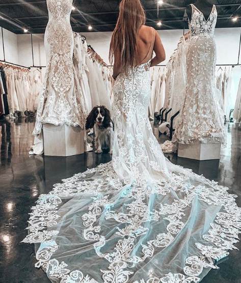 Get to Know Ivory &amp; Beau