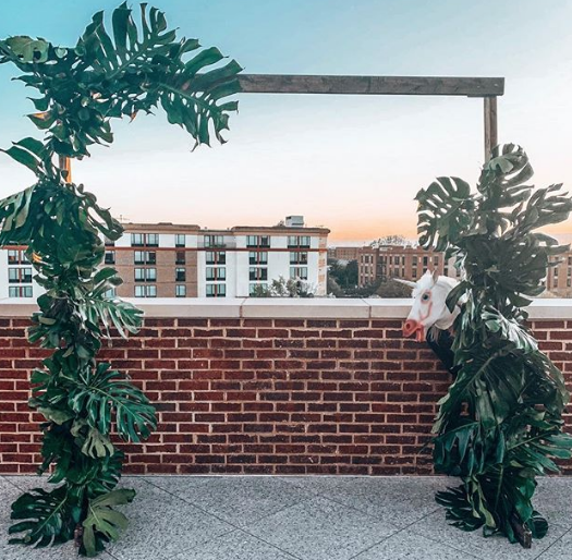 The Venue Menu: Choosing a Venue that is an Experience for your Guests