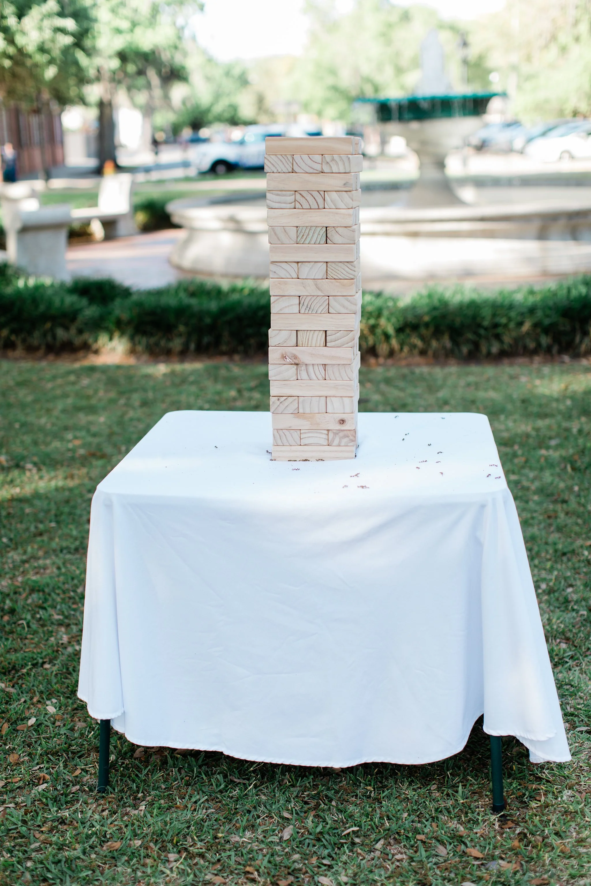 savannah-bridal-shop-savannah-florist-savannah-wedding-planner-michelle-and-scott-apt-b-photography-soho-south-cafe-wedding-downtown-savannah-wedding-49.JPG