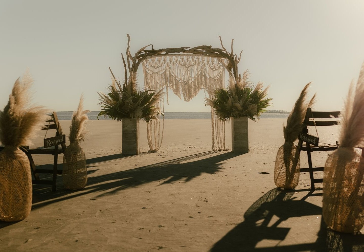 driftwood and pampas is a match made in heaven, just like #iandbcouple TORI + NIKKI 🤍

Looking for your wedding or event florals? Hit the link in our bio to get in touch!! 🔗✨

VENDORS⬇️
couple: @victoriabos @nikkibos17
photography: @frykmanphotogra