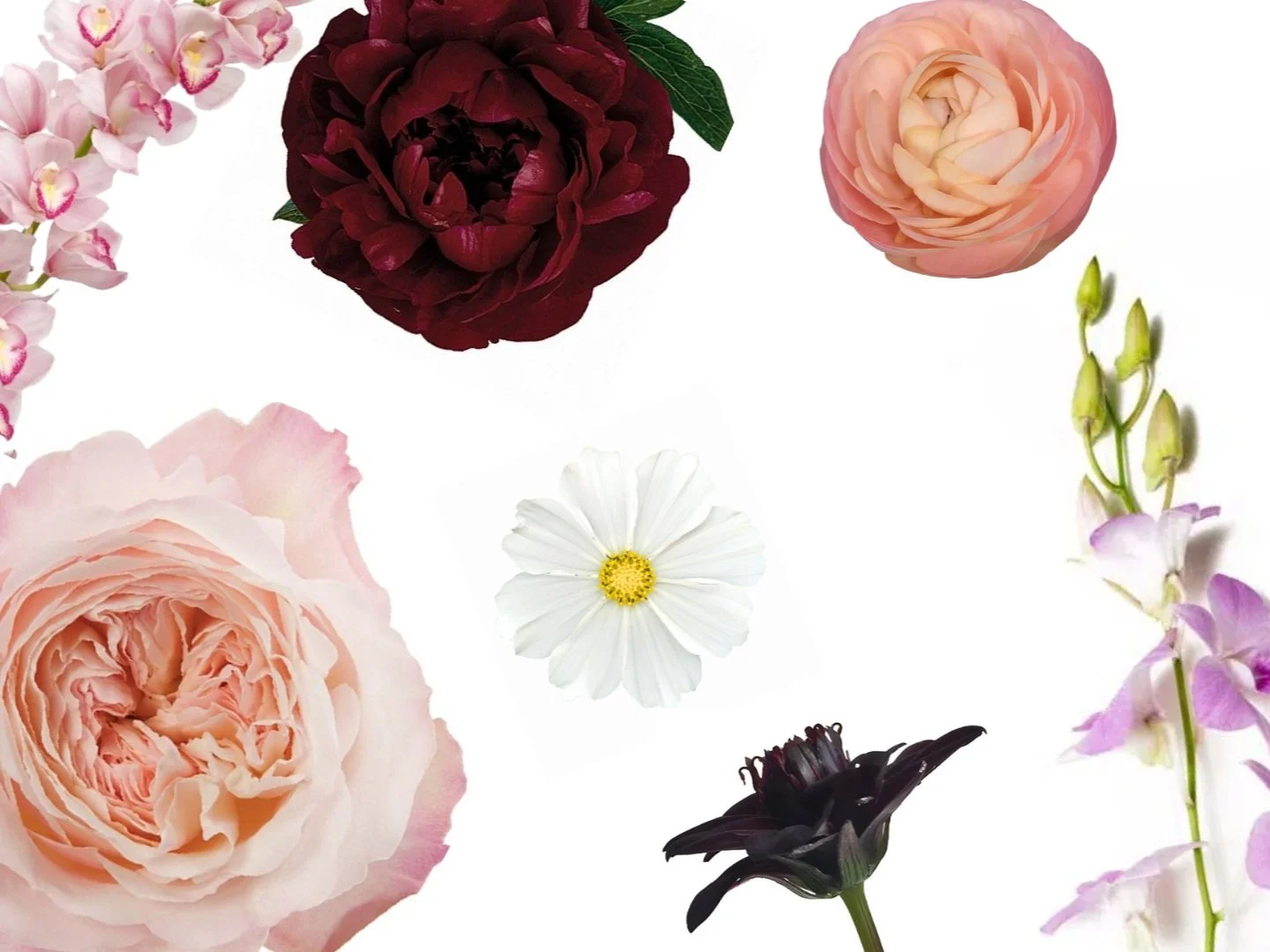 5 Fan-Favorite Flowers To Add To Your Wedding Flowers: From A Savannah Florist